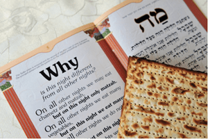 Rabbi Moshe’s Shabbat Message